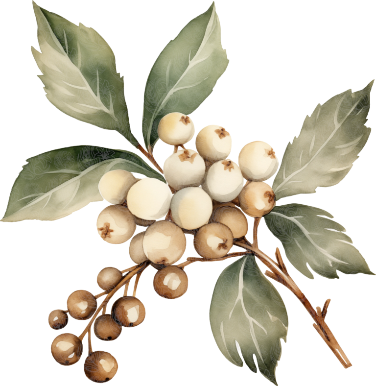vintage christmas berry branch with cream and tan berries and sage green leaves, Grey Barn Handwerk, Saskatchewan.